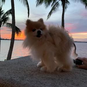 Meet your Posher, Sally